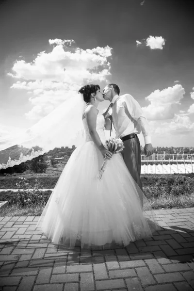 Retrato de noivo beijando noiva com véu voador — Fotografia de Stock