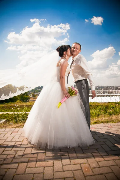 Невеста с летающей вуалью целует жениха в щеке в парке — стоковое фото