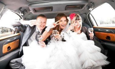 Couple having fun with friends in limousine clipart