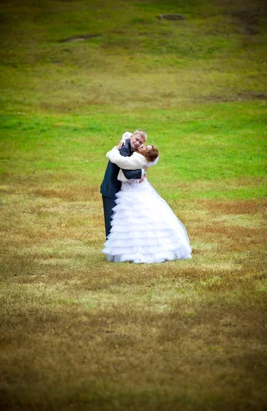 夫妇热情地拥抱绿色的草坪上 — 图库照片