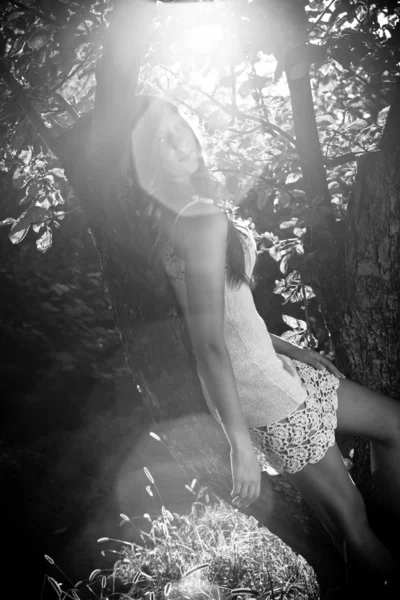 Güneş ışınları ağaca yaslanmış kız fotoğrafı — Stok fotoğraf
