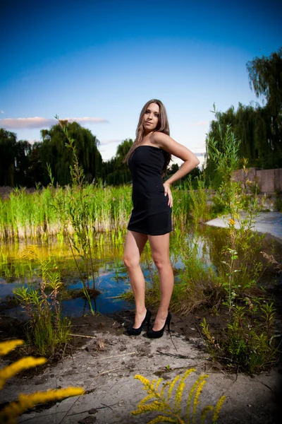 Menina sexy posando contra lagoa e prado — Fotografia de Stock