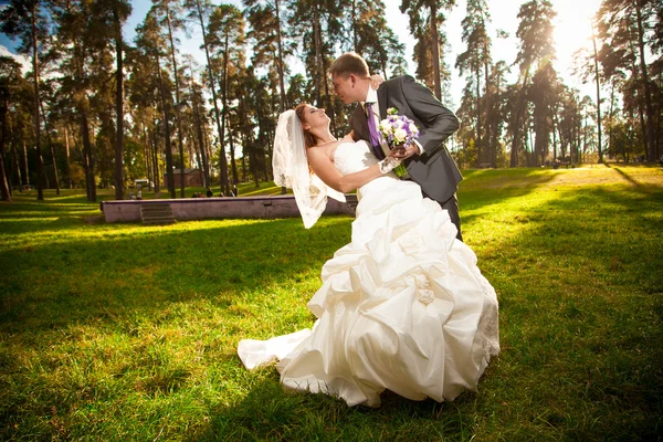 Pareja casada abrazándose en el prado en el parque — Foto de Stock