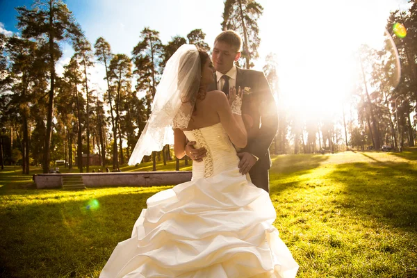 Bride and groom hugging on meadow at sun rays — Stock Photo, Image