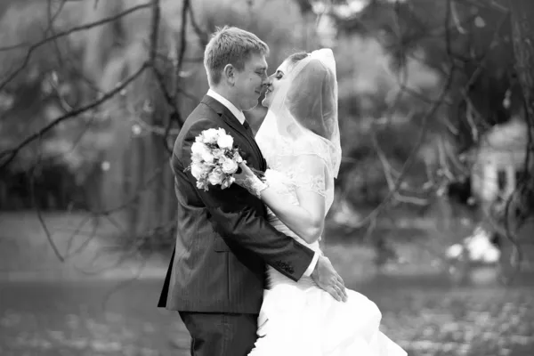 Retrato de la novia y el novio de pie frente al río — Foto de Stock