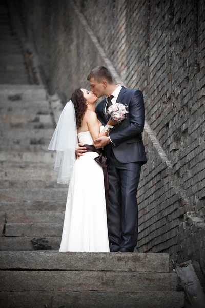 Newly married couple kissing on old stairway against brick wall — Stock Photo, Image