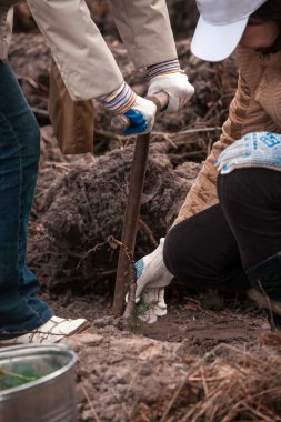 küçük ağaç dikim kadın yatakta Filiz