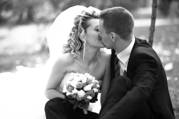 Closeup portrait of bride and groom kissing tenderly at park — Stock Photo, Image