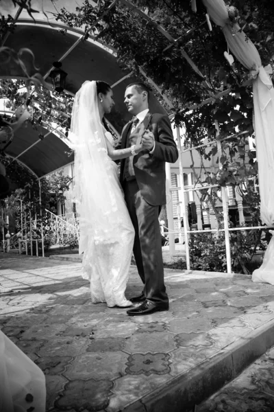 Foto di sposa e sposo che ballano in alcova — Foto Stock