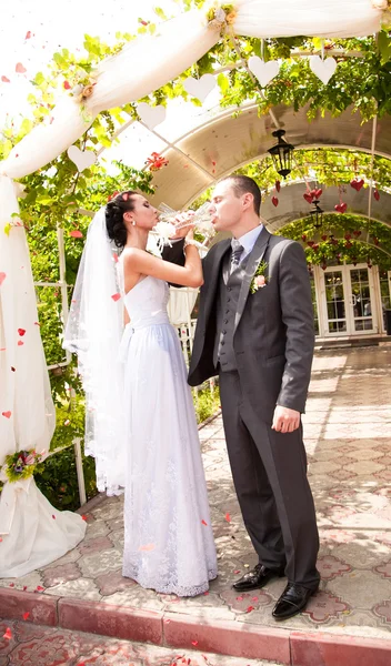 Coppia bere champagne mentre in piedi sotto arco di nozze — Foto Stock