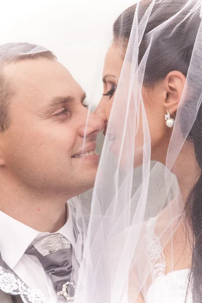 Casal casal olhando uns para os outros sob véu nupcial — Fotografia de Stock