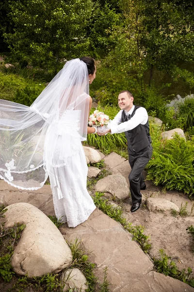 Bel groomstanding sul ginocchio e dare fiori alla sposa — Foto Stock