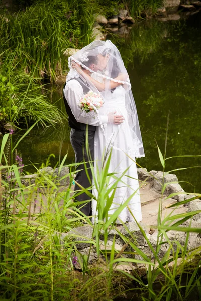 Coppia sposata baciare sulla riva del fiume sotto lungo velo bianco — Foto Stock
