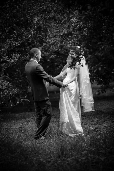 Zdjęcie świeżo poślubiona para trzymając się za ręce w cieniu drzew w ogrodzie — Zdjęcie stockowe