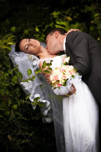 Groom kissing passionately bride in neck neck under tree — Stock Photo, Image