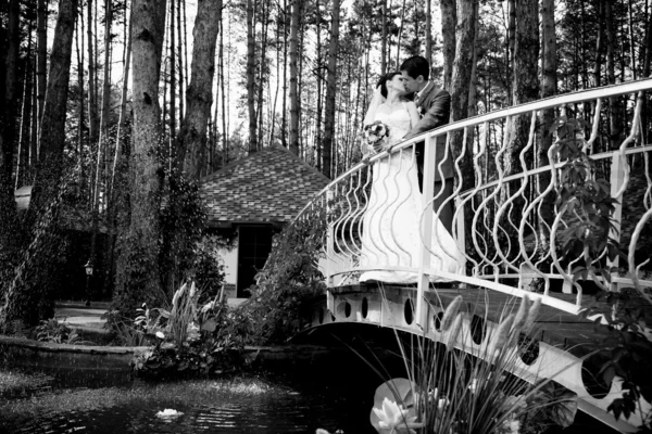 Photo of just married couple hugging on old metal bridge — Stock Photo, Image