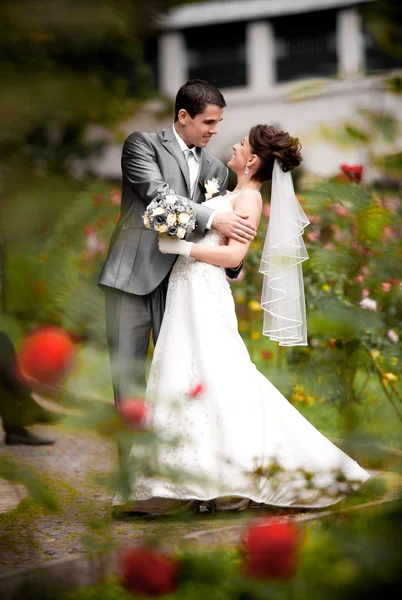 Stilig brudgummen bockning brud över på Rosenkransen — Stockfoto