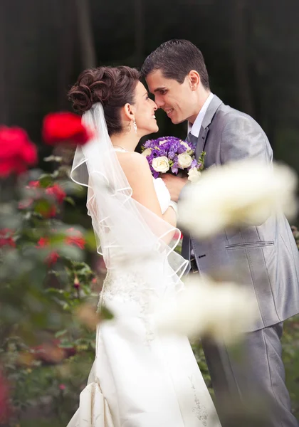 Casal recém-casado olhando um para o outro no jardim com rosas — Fotografia de Stock