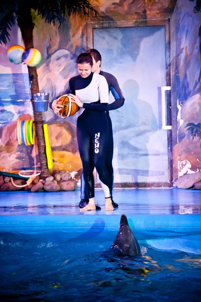 Vrouw in zwemmen pak gooien van de bal aan dolfijn in zwembad — Stockfoto