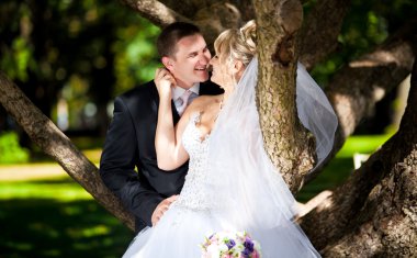 Yeni evli çift ağaç karşı yaslanmış öpüşme yatay dikey