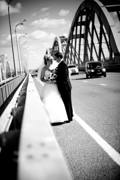 Portrait of newly married couple hugging on road — Stock Photo, Image