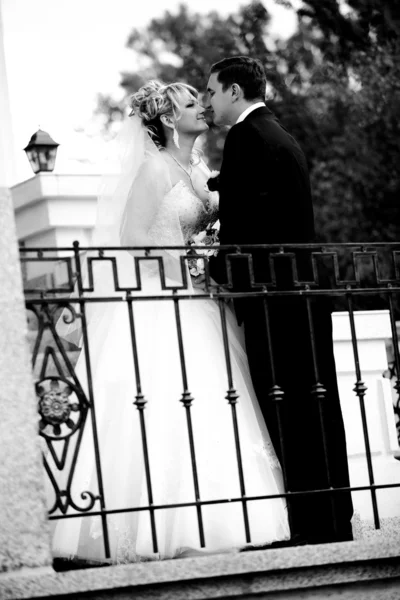 Black and white portrait of bride and groom looking at each other — Stock Photo, Image