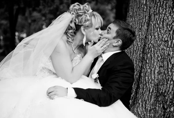 Bride sitting on on groom legs and kissing him passionately — Stock Photo, Image