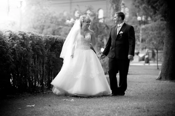 Casamento recém-casado fazendas mãos e caminhando no parque — Fotografia de Stock