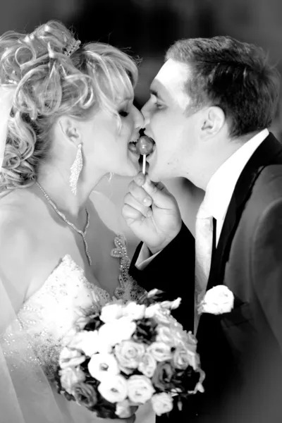 Portrait of newly married couple licking one lollipop — Stock Photo, Image