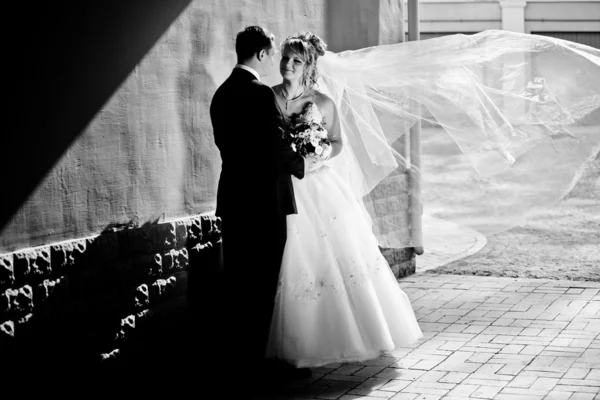 Black and white photo of groom hugging bride — Stock Photo, Image