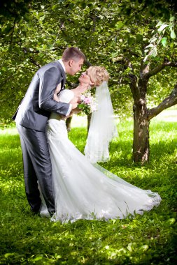 damat gelini üzerinde bükme ve ona tutkuyla parkta öpüşme