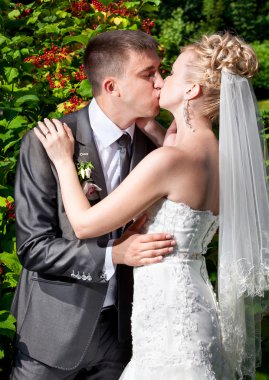 Gelin ve damat öpüşme karşı parkta çalıların portresi