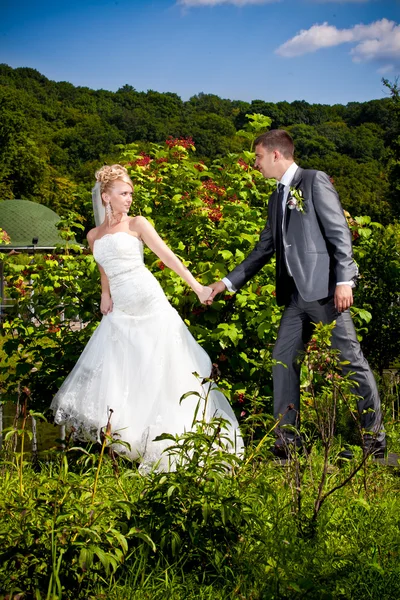 Junges frisch verheiratetes Paar hält Händchen im Park — Stockfoto