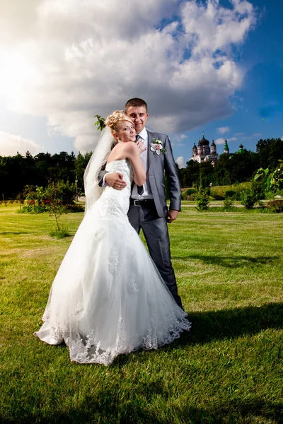 Жених и невеста стоят на траве и смотрят на небо — стоковое фото