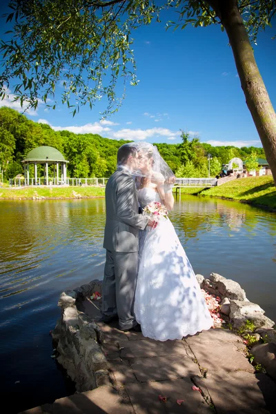 Bride and groom kissing on river bank at park — Stock Photo, Image