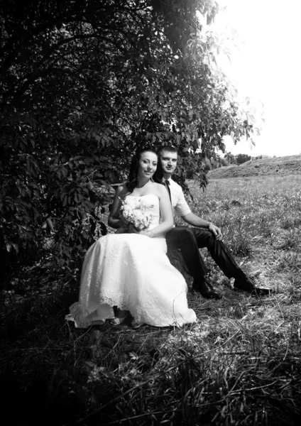 Retrato de casal recém-casado sentado debaixo da árvore no parque — Fotografia de Stock