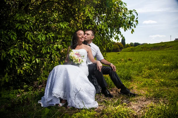 Nevěsta a ženich seděl a líbání v parku pod stromem — Stock fotografie