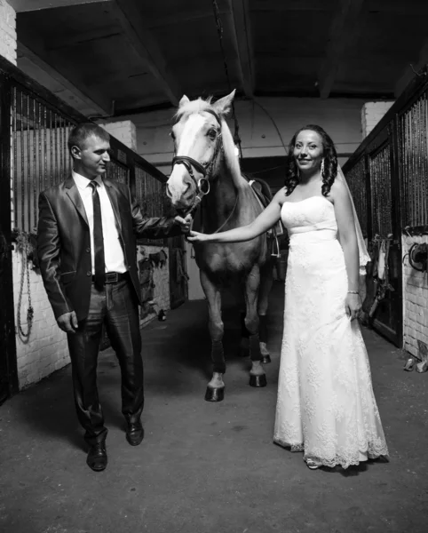 Photo of bride and groom holding horse by rein at stable