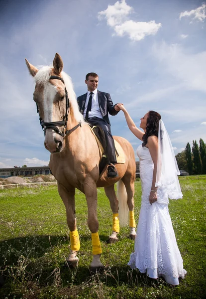 Groom riding a horse giving hand to brunette bride — Stock Photo, Image