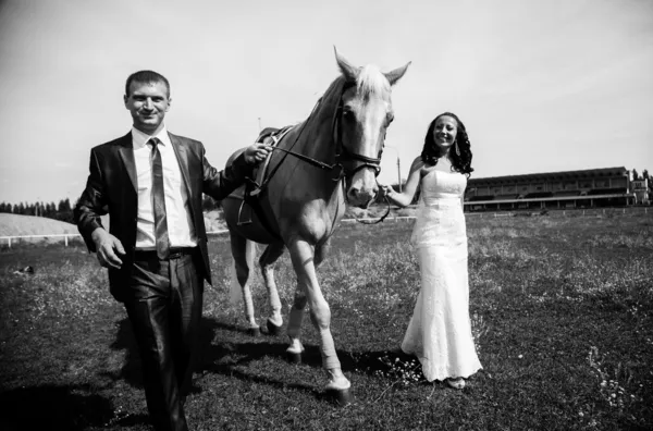 Casal recém-casado segurando rédea de cavalo e andando no prado — Fotografia de Stock