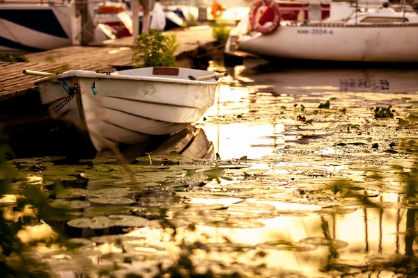 Closeup shot o vessel boat in port surrounded by water lilies — Stock Photo, Image