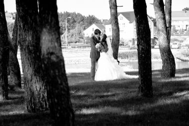 Gelin ve damat öpüşme forest lake yakınlarında