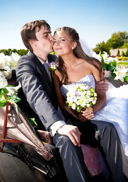 Groom kissing bride in cheek on bench at park — Stock Photo, Image