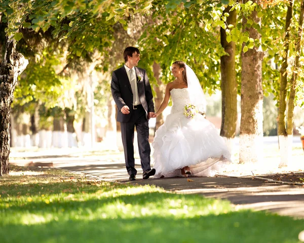 Bride and groom walking at park holding hands — Stock Photo, Image