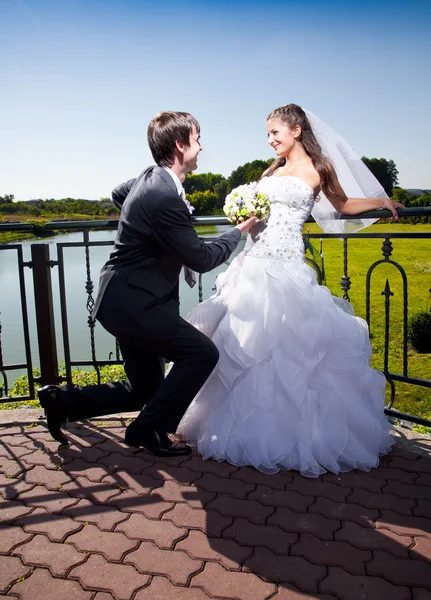 Handsome groom kneeling in front of bride at park — Stock Photo, Image