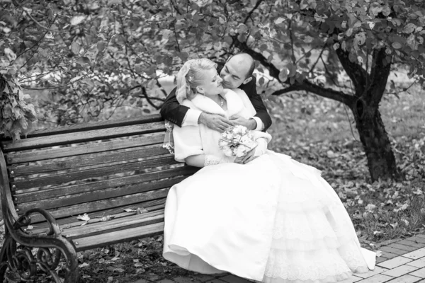 Groom hugging bride who is sitting on bench at park — Stock Photo, Image