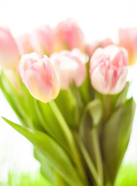 Blurred shot of re and pink flowers — Stock Photo, Image