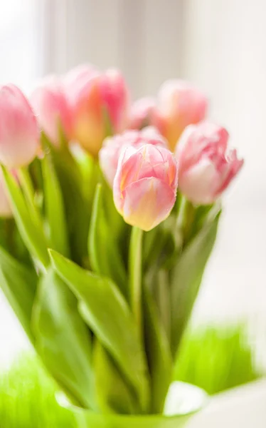 Blurred shot of beautiful pink tulips on windowsill — Stock Photo, Image