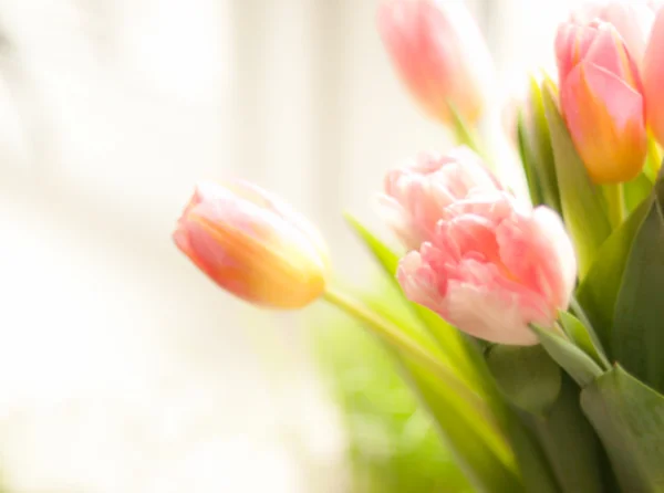 Photo of pink tulips standing on windowsill — Stock Photo, Image