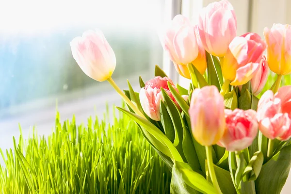 Photo of pink tulips against grass on windowsill — Stock Photo, Image